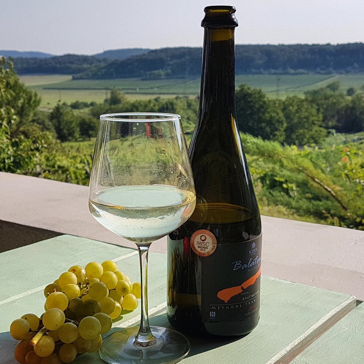 Kern Gris – Balatoni sparkling Pinot Pincészet wine